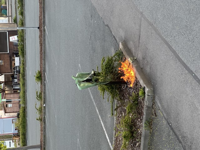 ffw brand papierkorb bild1