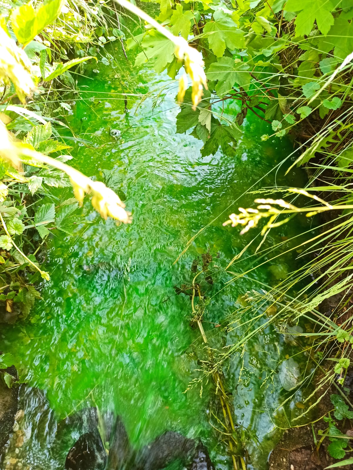 ffw einsatz 20210611 bild8